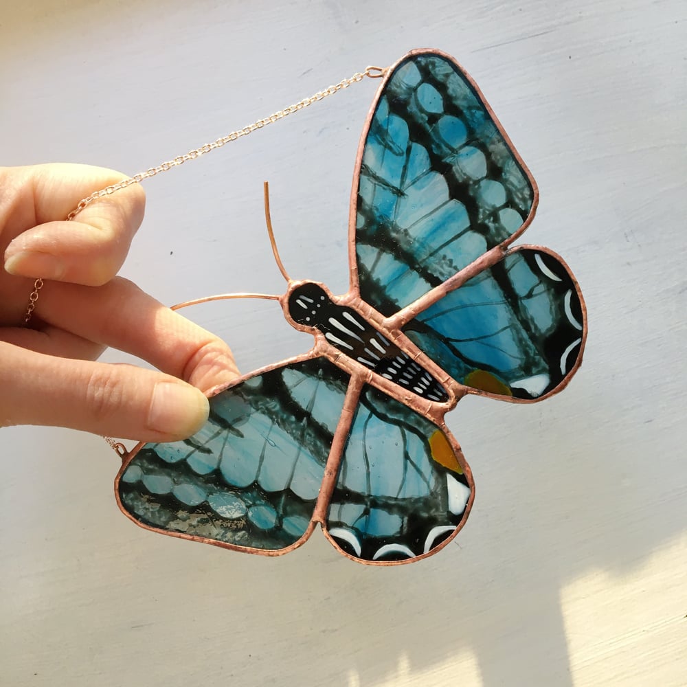 Image of Red-Spotted Purple Butterfly