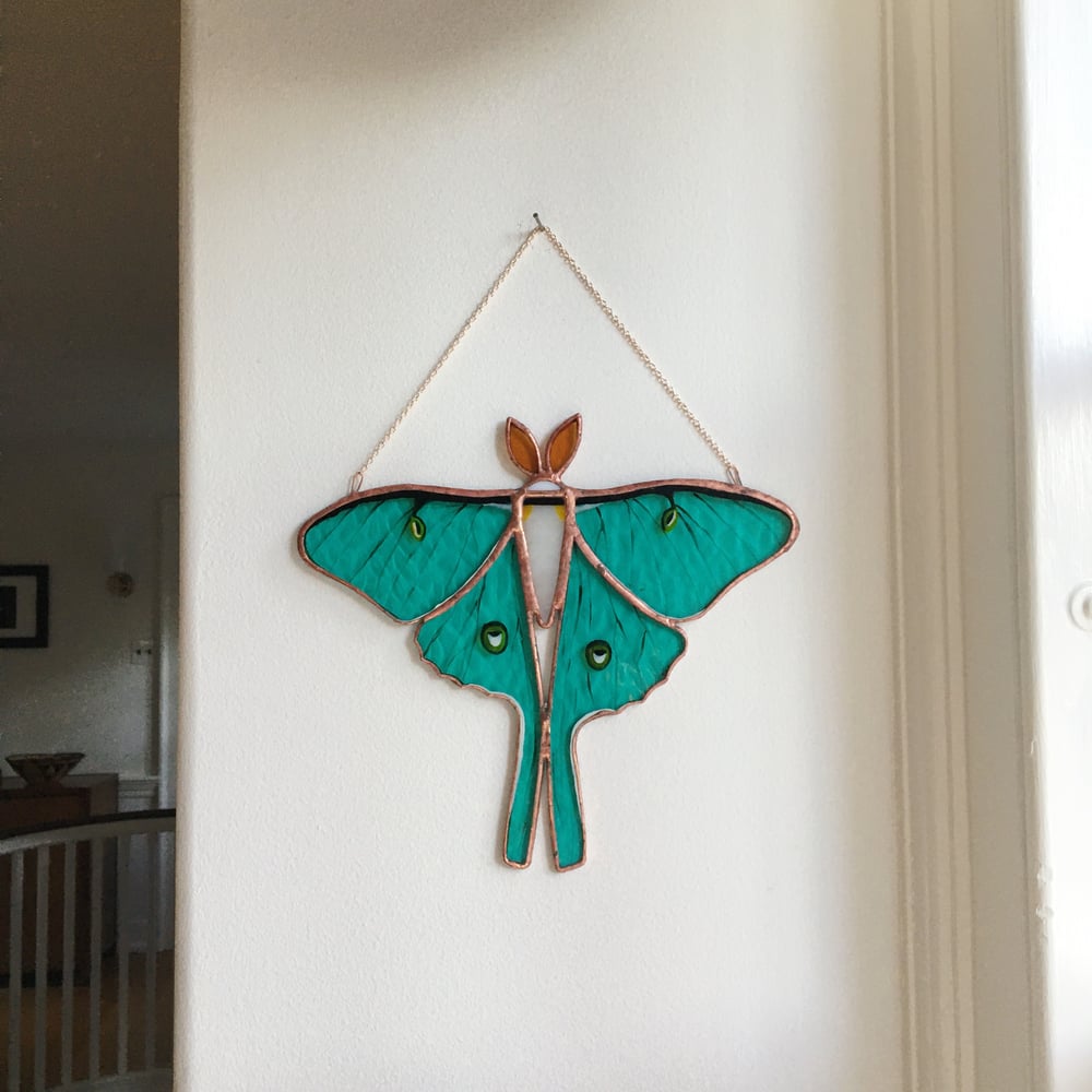 Image of Luna Moth