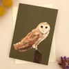 Greetings card - Barn Owl