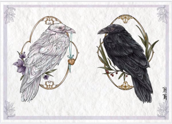 Image of Ravens