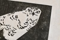 Image 5 of Snowy Owl ✦ Linocut Print