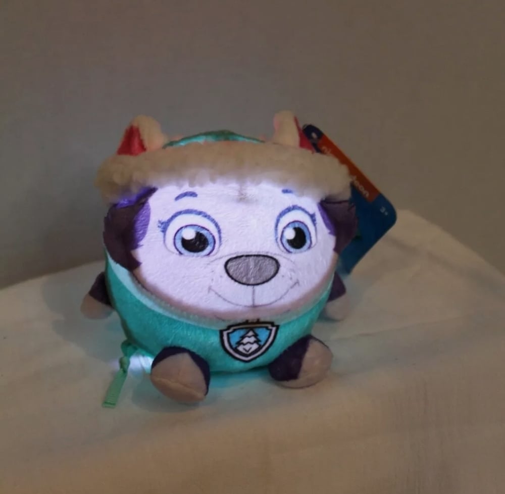 PAW Patrol Light Up Toys
