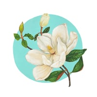 Image 1 of Southern Magnolia Canvas