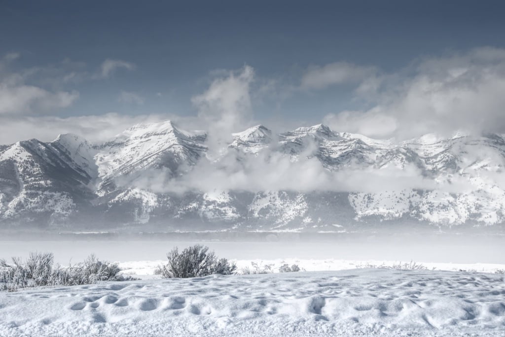 Image of Wyoming Winter