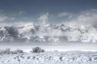 Wyoming Winter