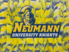 Neumann University (16x20in)