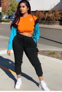 Image 1 of Signature multi-colored crop hoodie