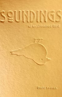 Image 1 of Soundings of an Unnamed Bird (Poetry Book)