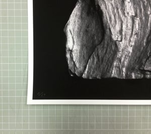 Image of The Mountain Rests