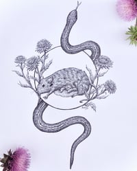 Journey of the Field Mouse Soul