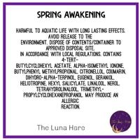 Image 5 of Spring Awakening 