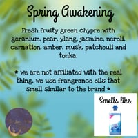 Image 4 of Spring Awakening 