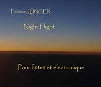 NIGHT FLIGHT (2013)