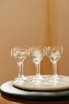 Pheasant Glasses<br><i>Set of six</i>
