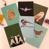 Greetings cards - Set of 6 'HS2 Animals'