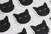 black cat sticker