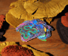 Holographic Dragon sticker