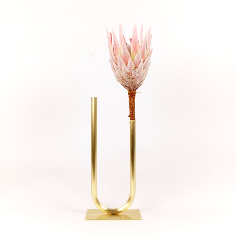 Image of Uneven Brass U Vase, raw brass: Short vase, Narrow U, Thick tube