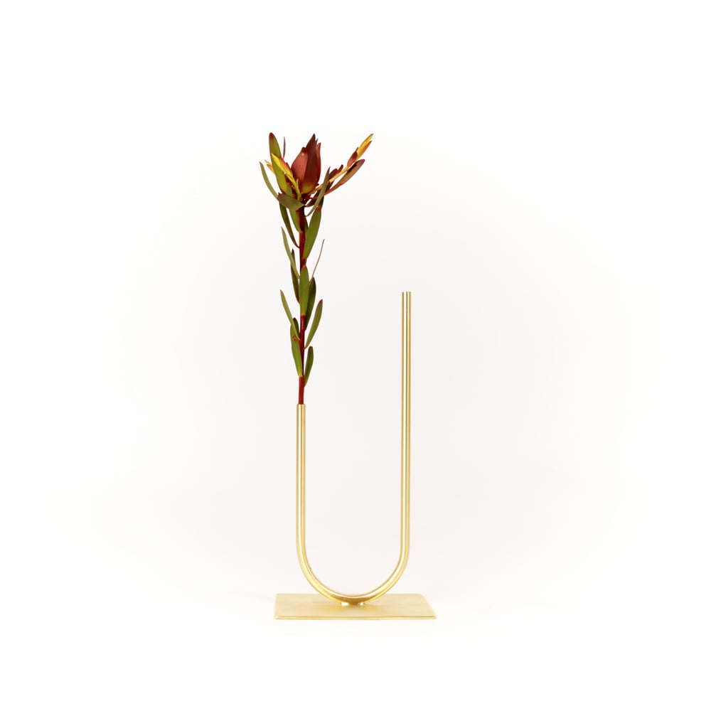 Image of Uneven U Vase, raw brass: Short Height, Narrow U, Thin Tube