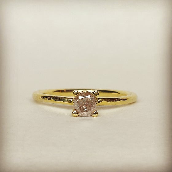 Beeld van Pinkish solitaire