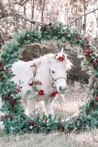 Image 1 of Unicorn Winter Mini-2 Dates- $50 Deposit Only