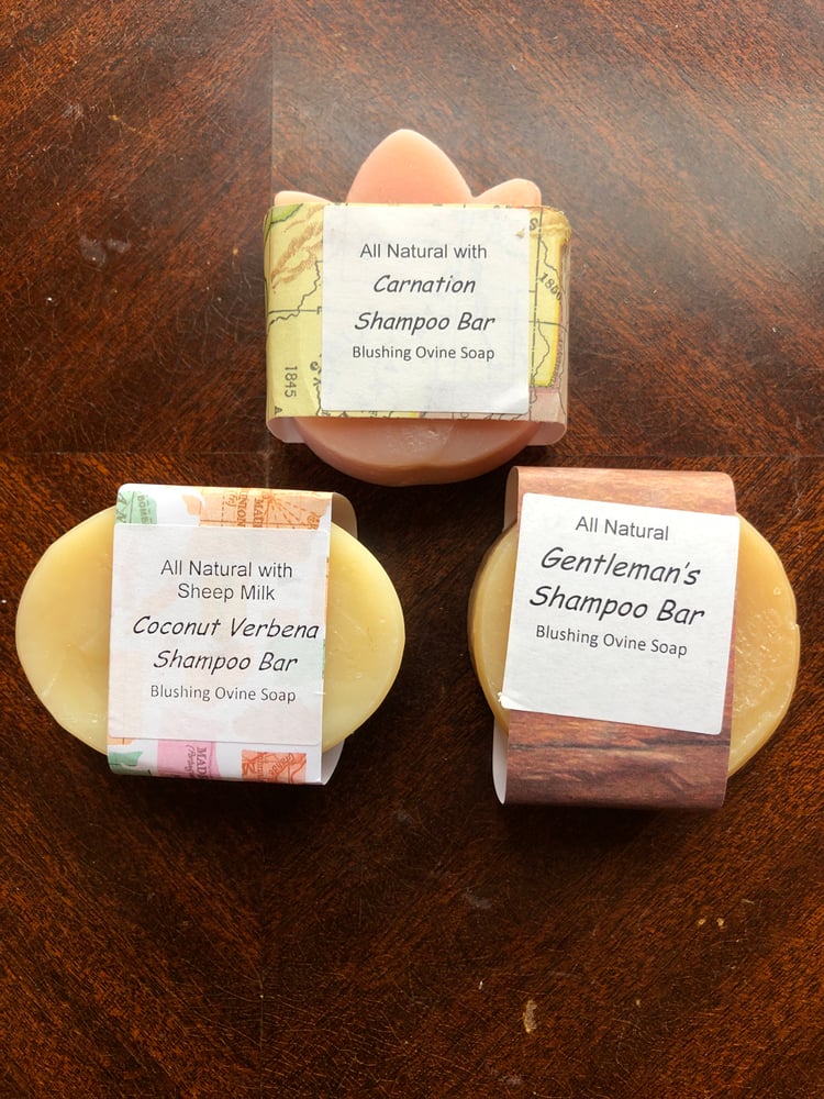 Image of Shampoo Bars