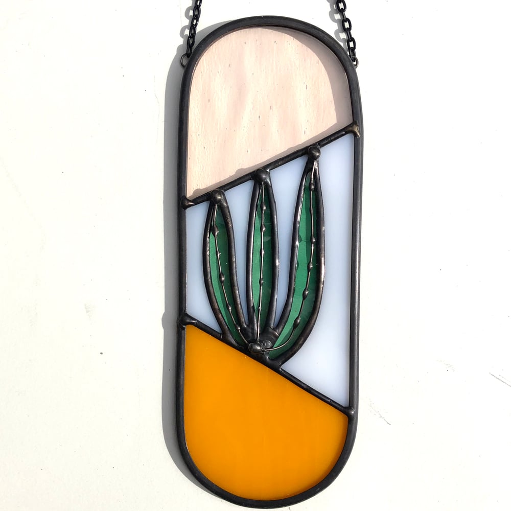 Image of Agave Sunrise