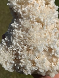 Image 10 of Aragonite On White Calcite Specimen #1243