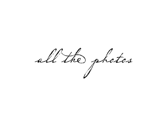 Image of All the photos
