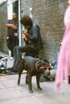 London Dog