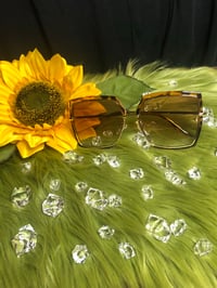 Image 1 of Fancy 
