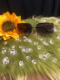 Image 2 of Fancy 