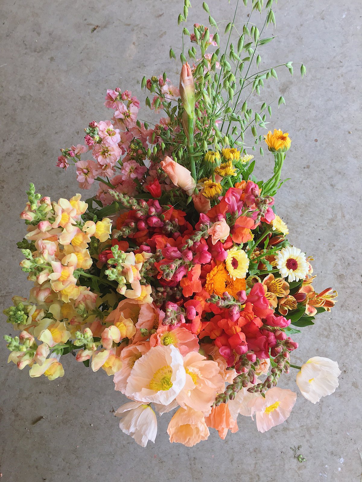 Image of Porch Petals PRESCRIPTION :: JUNE