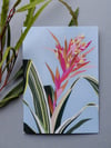 Jungle Stripe