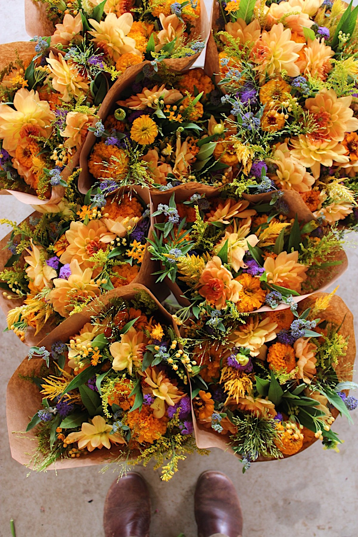 Image of Porch Petals PRESCRIPTION :: SEPTEMBER