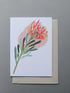 Scarlet Ribbon Image 3