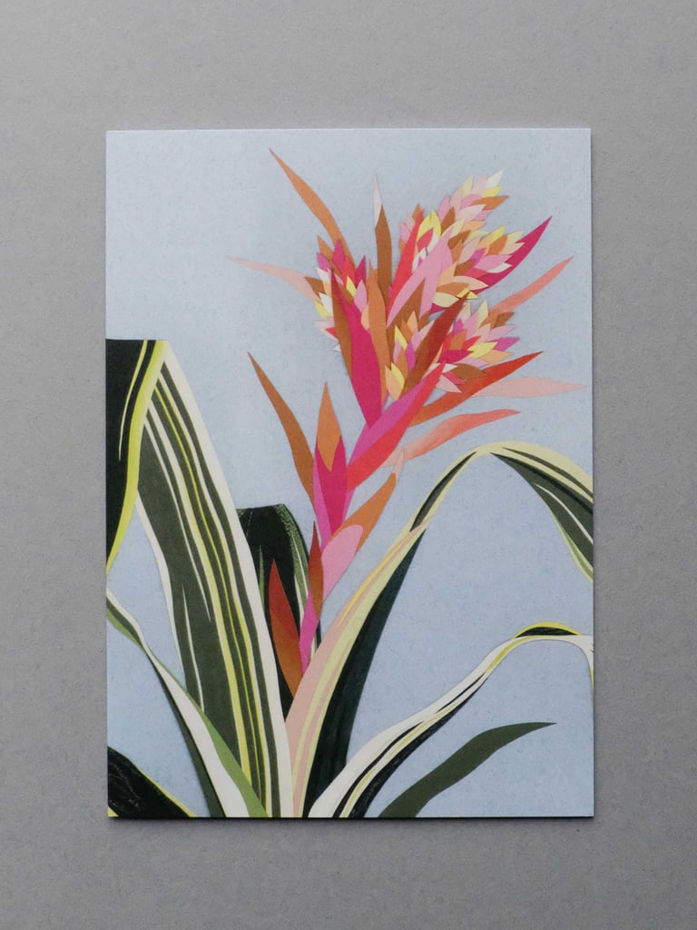 Jungle Stripe Image 2