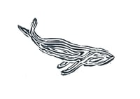 Image 3 of Tree Ring Whale Cards