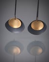 Oyster Earrings - long or short