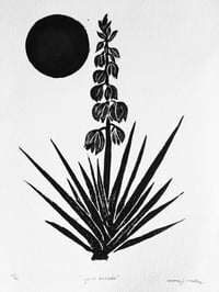 "Yucca baccata"  Print