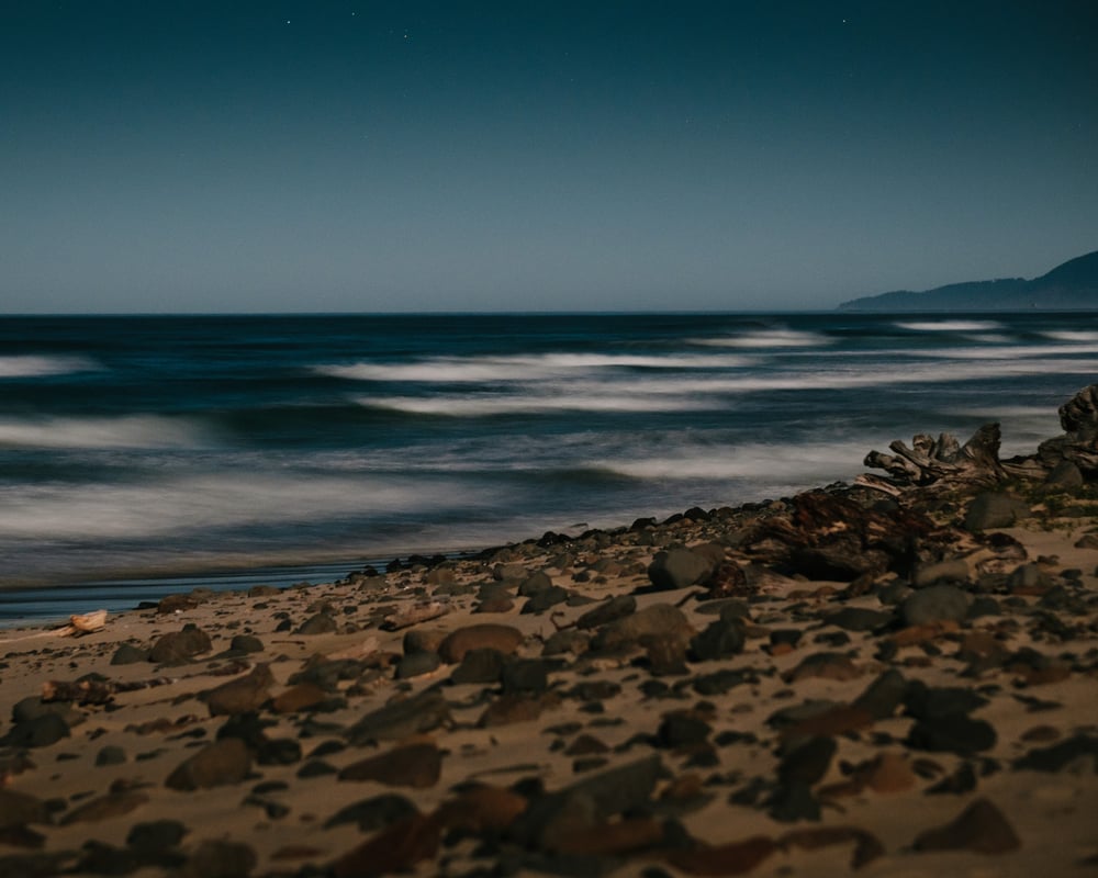 Image of Full Moon Fever