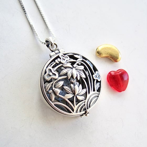 Image of Kidney Transplant Gift-Brushed Sterling Locket with Kidney & Heart Charms 