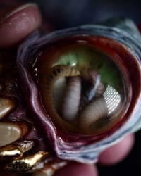 Image 6 of Parasite cyclops - Glow in the Dark Bic Lighter Sleeve OOAK