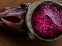 Image 12 of Magenta Bloom Snaggletooth Pendant OOAK
