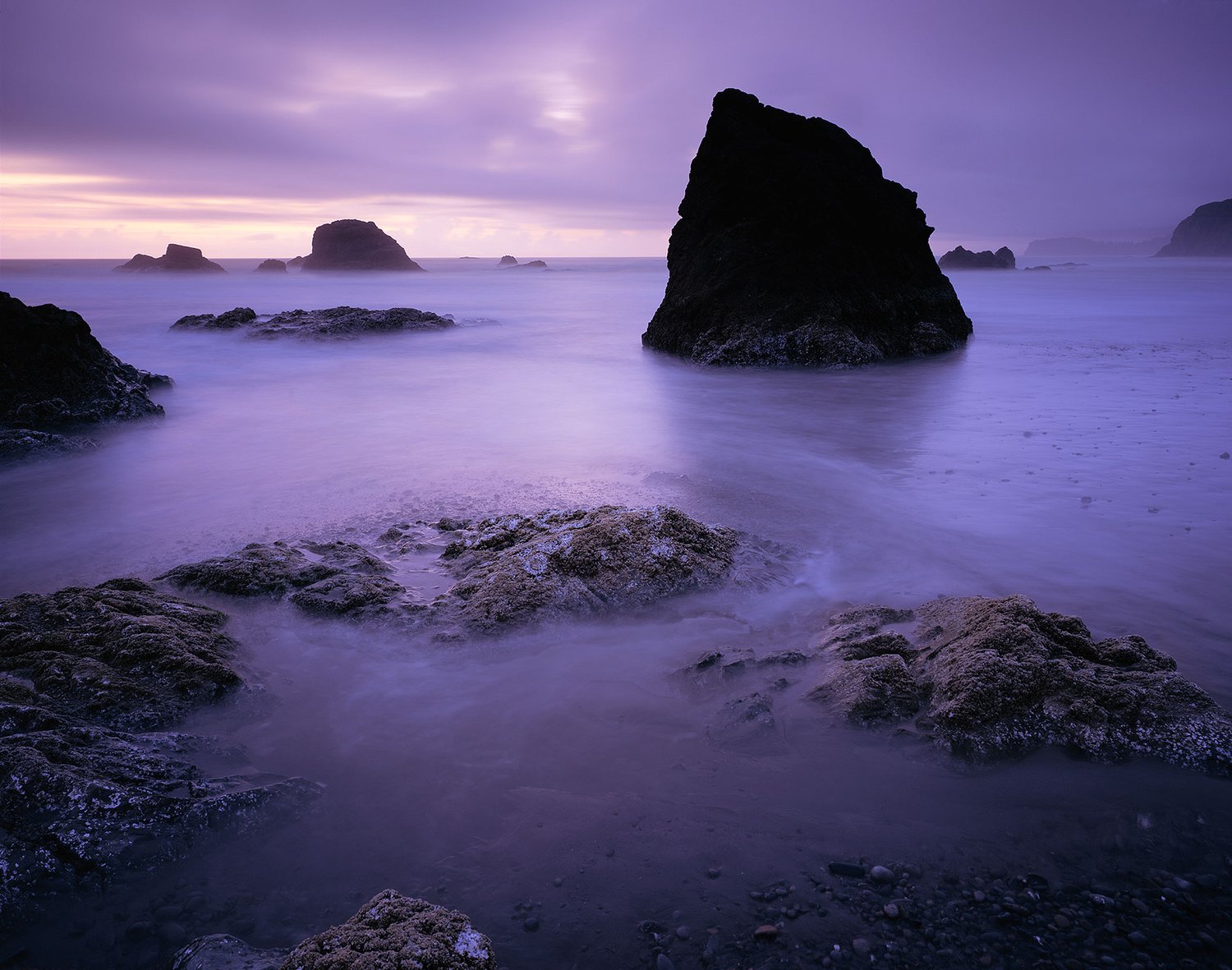 Image of Sea Stacks at Twilight, Olympic National Park, Washington