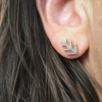 Image 3 of pine shine stud earrings