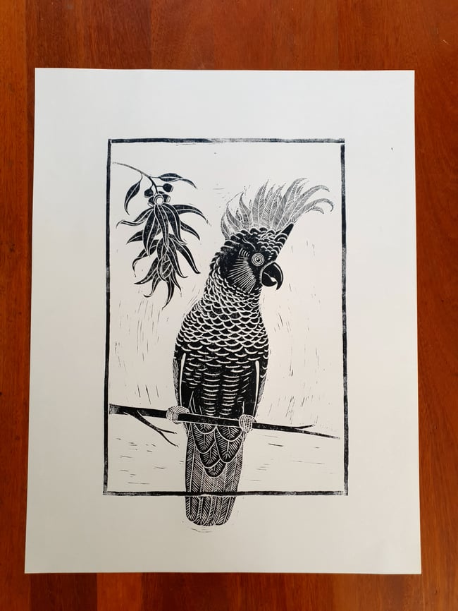 Sulphur-Crested Cockatoo