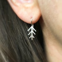 Image 3 of pine shine dangles