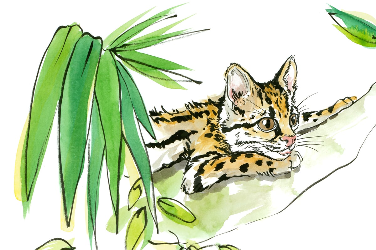 Jungle Print #1 – Ru & Friends