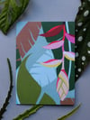 Jungle Heliconia